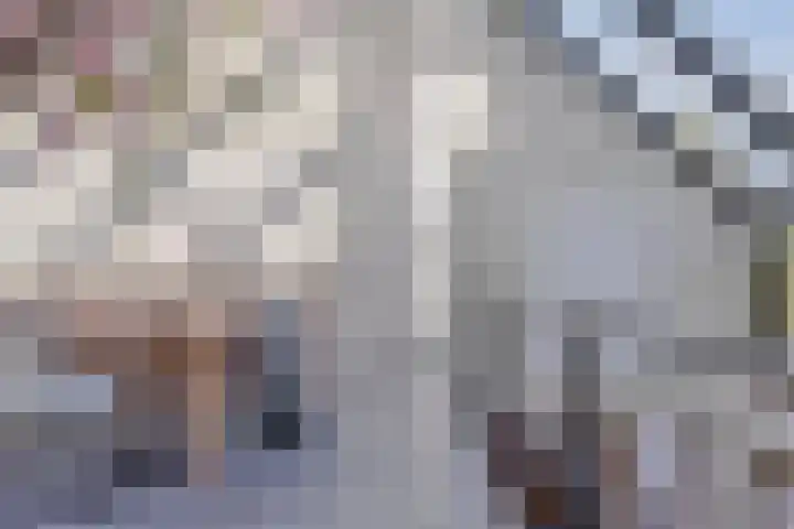 Het Buske 31 Vinkel thumbnail 36