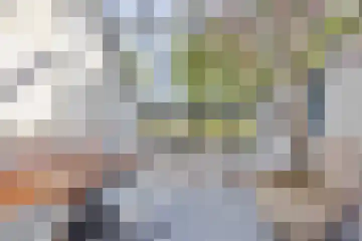 Het Buske 31 Vinkel thumbnail 38