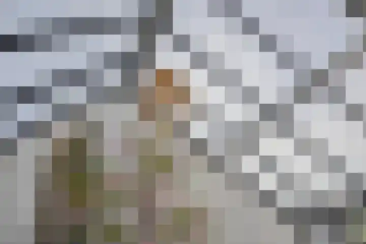 Het Buske 31 Vinkel thumbnail 39