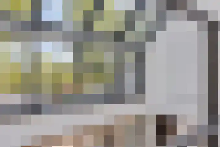 Het Buske 31 Vinkel thumbnail 40