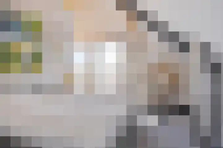 Het Buske 31 Vinkel thumbnail 41