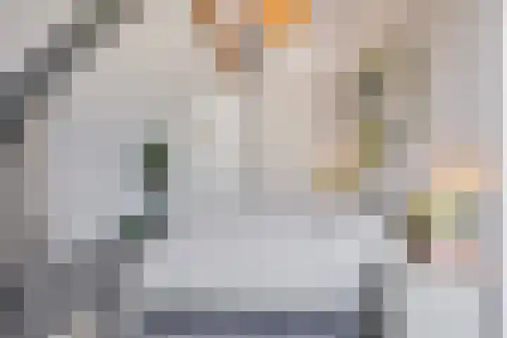 Het Buske 31 Vinkel thumbnail 44