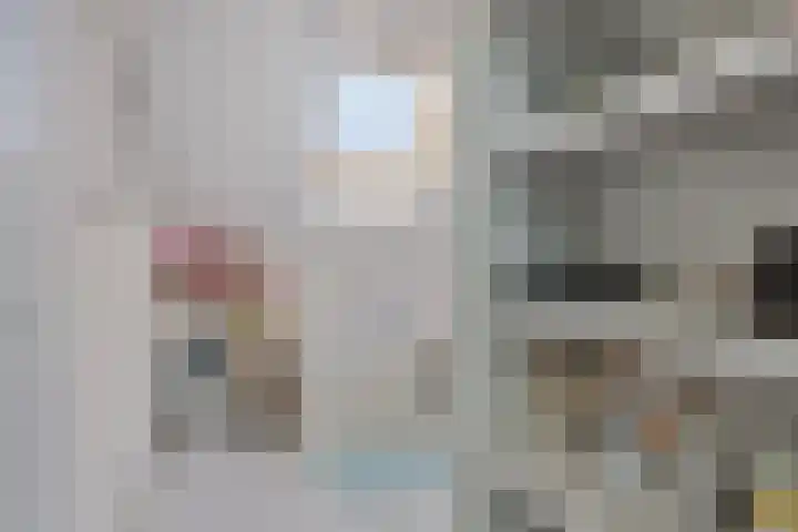 Het Buske 31 Vinkel thumbnail 47