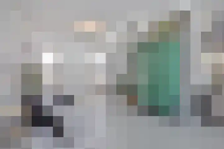 Het Buske 31 Vinkel thumbnail 5