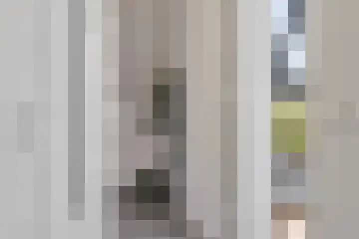 Het Buske 31 Vinkel thumbnail 52