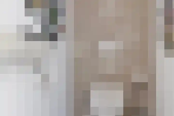 Het Buske 31 Vinkel thumbnail 53