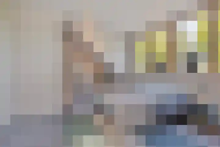 Het Buske 31 Vinkel thumbnail 55