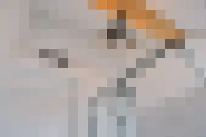 Het Buske 31 Vinkel thumbnail 62