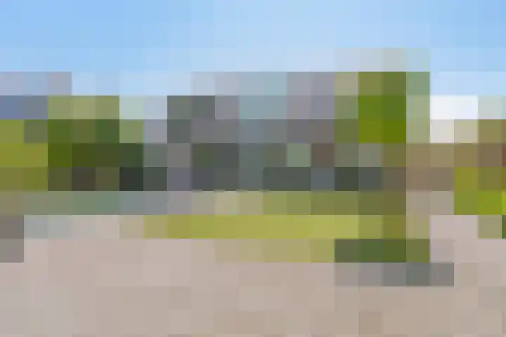 Het Buske 31 Vinkel thumbnail 64