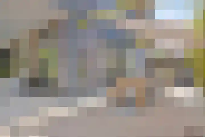 Het Buske 31 Vinkel thumbnail 65