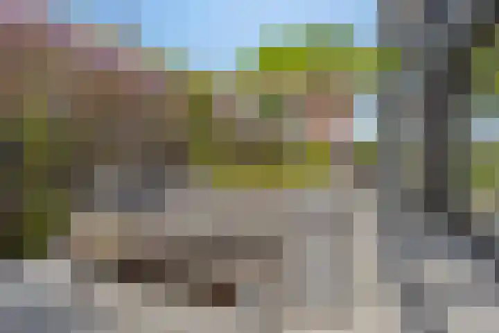 Het Buske 31 Vinkel thumbnail 66