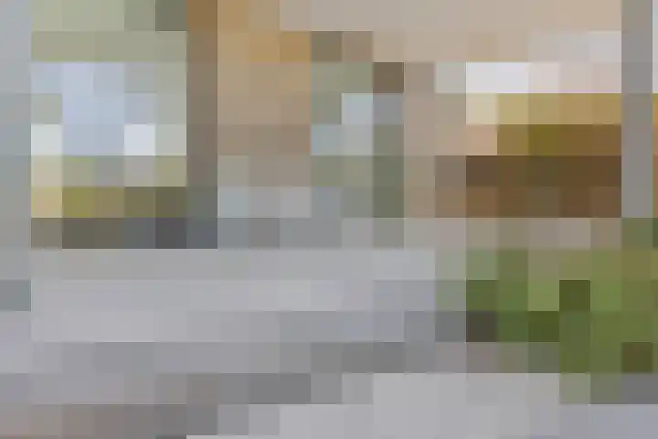 Het Buske 31 Vinkel thumbnail 68