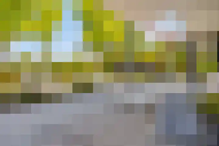 Het Buske 31 Vinkel thumbnail 69