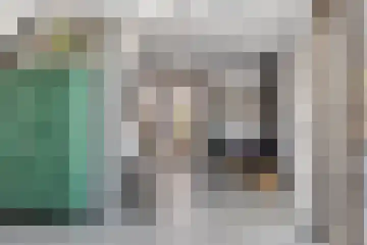 Het Buske 31 Vinkel thumbnail 7
