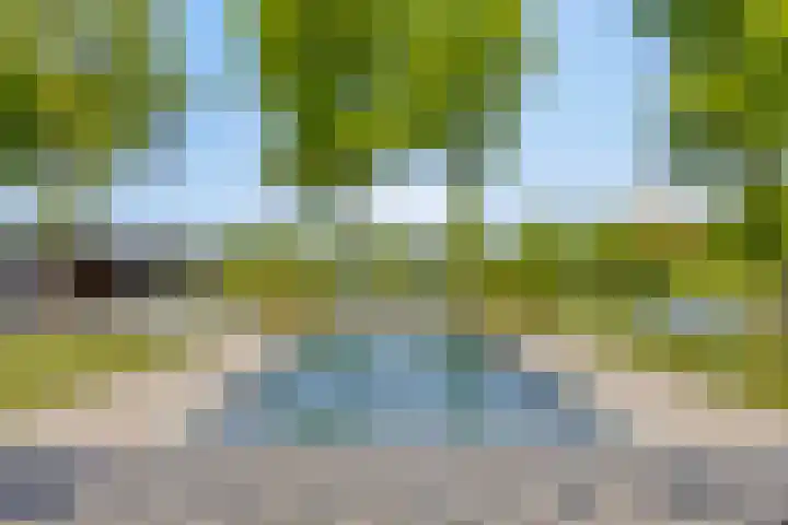 Het Buske 31 Vinkel thumbnail 71