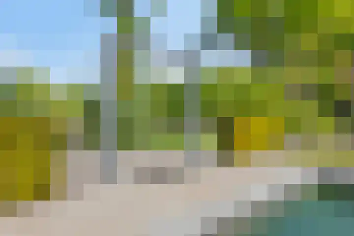 Het Buske 31 Vinkel thumbnail 72