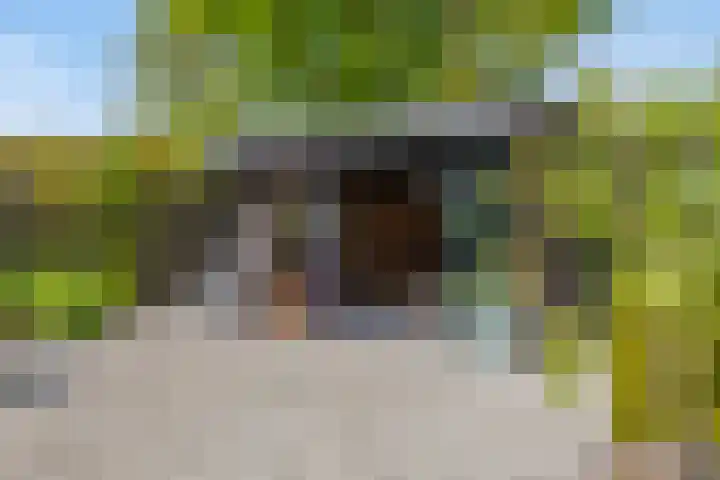 Het Buske 31 Vinkel thumbnail 75