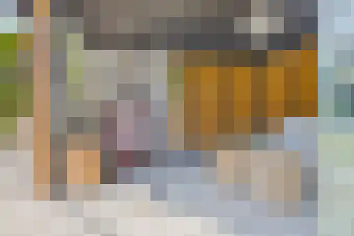 Het Buske 31 Vinkel thumbnail 77