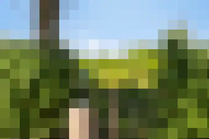 Het Buske 31 Vinkel thumbnail 78