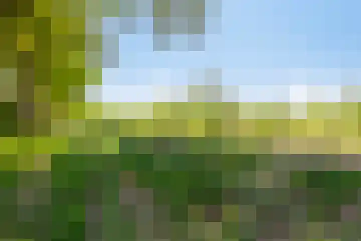 Het Buske 31 Vinkel thumbnail 79