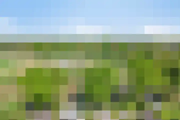 Het Buske 31 Vinkel thumbnail 80