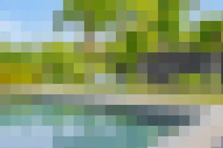 Het Buske 31 Vinkel thumbnail 81