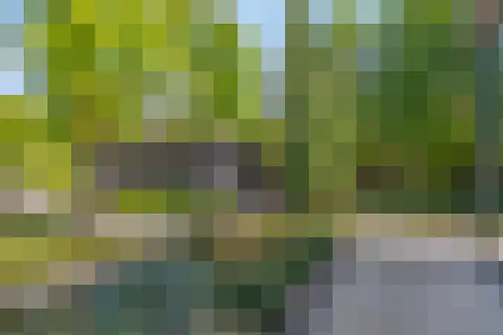 Het Buske 31 Vinkel thumbnail 82