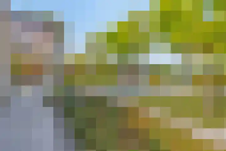Het Buske 31 Vinkel thumbnail 84