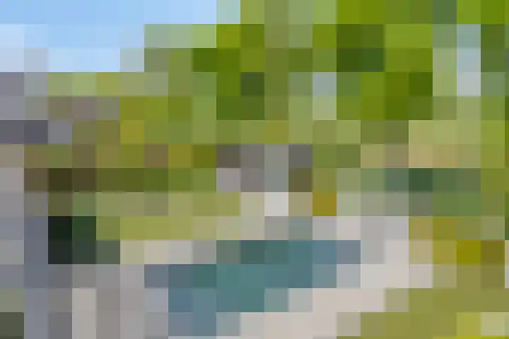 Het Buske 31 Vinkel thumbnail 85