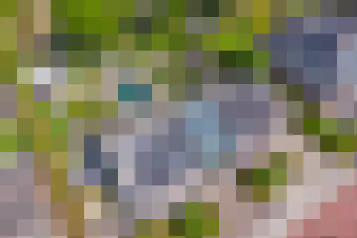 Het Buske 31 Vinkel thumbnail 86