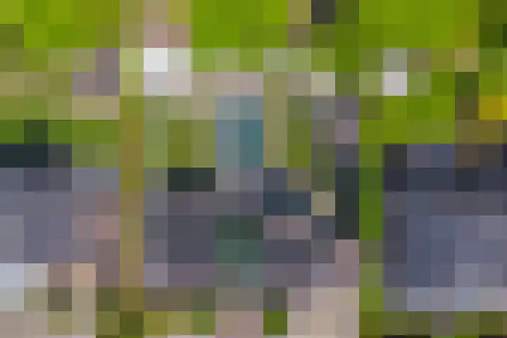 Het Buske 31 Vinkel thumbnail 87
