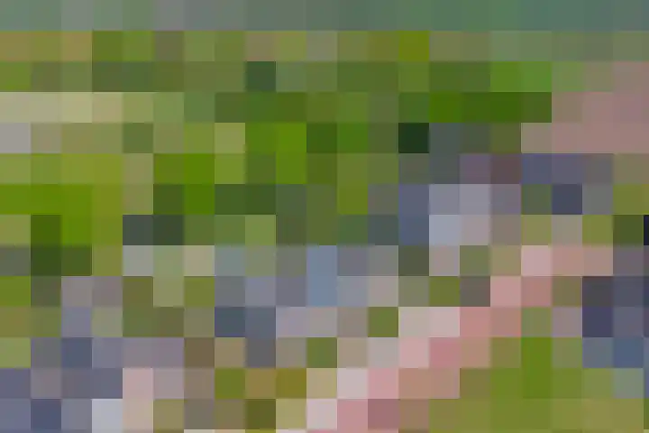 Het Buske 31 Vinkel thumbnail 88