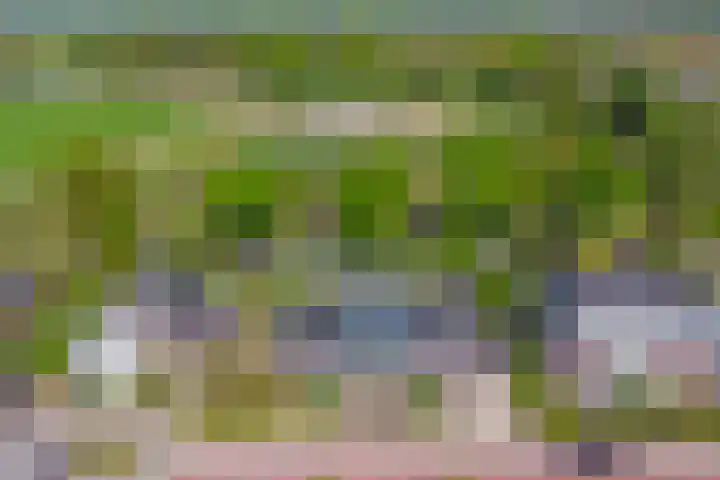 Het Buske 31 Vinkel thumbnail 89