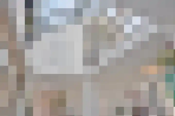 Het Buske 31 Vinkel thumbnail 9