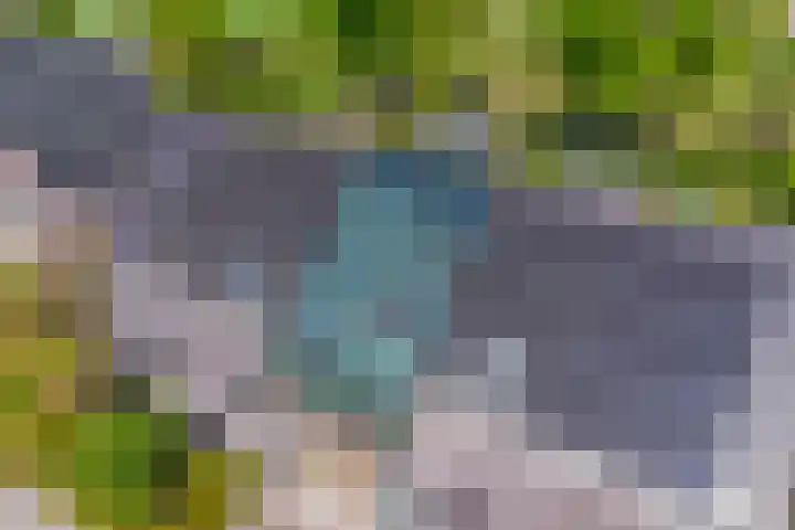 Het Buske 31 Vinkel thumbnail 91
