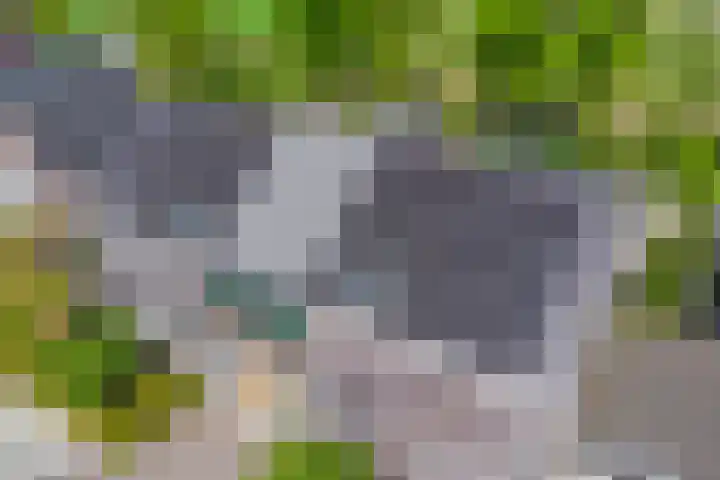 Het Buske 31 Vinkel thumbnail 92