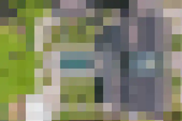 Het Buske 31 Vinkel thumbnail 93
