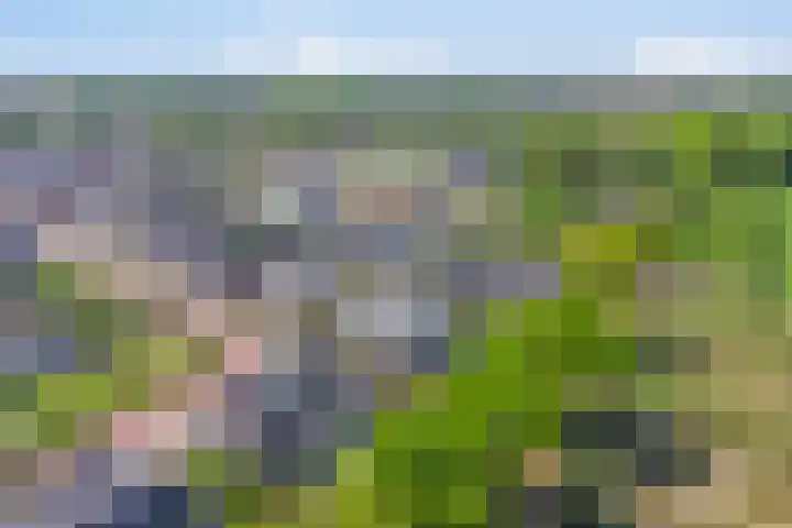 Het Buske 31 Vinkel thumbnail 94