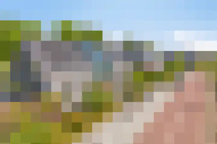 Het Buske 31 Vinkel thumbnail 96