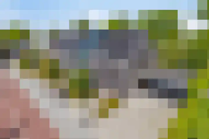 Het Buske 31 Vinkel thumbnail 98