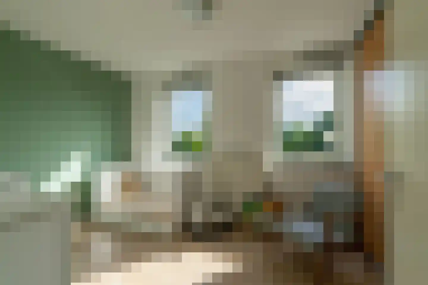 Het Buske 5 Lent thumbnail 19