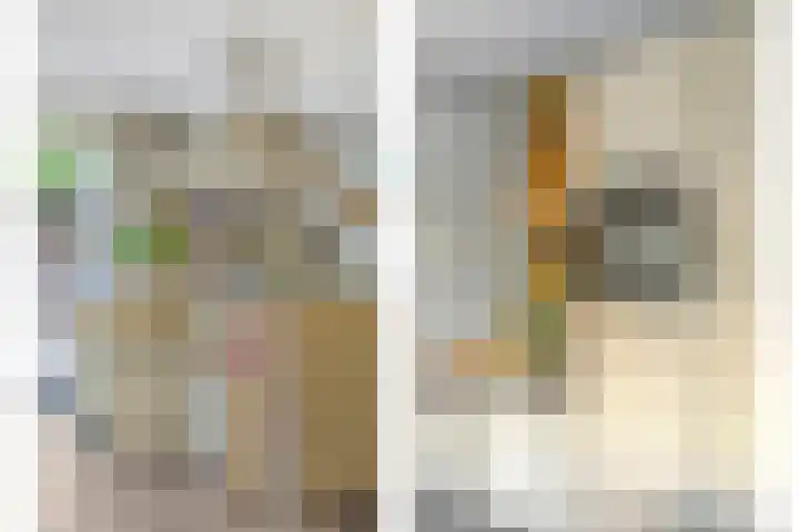 Het Buske 71 Lent thumbnail 17
