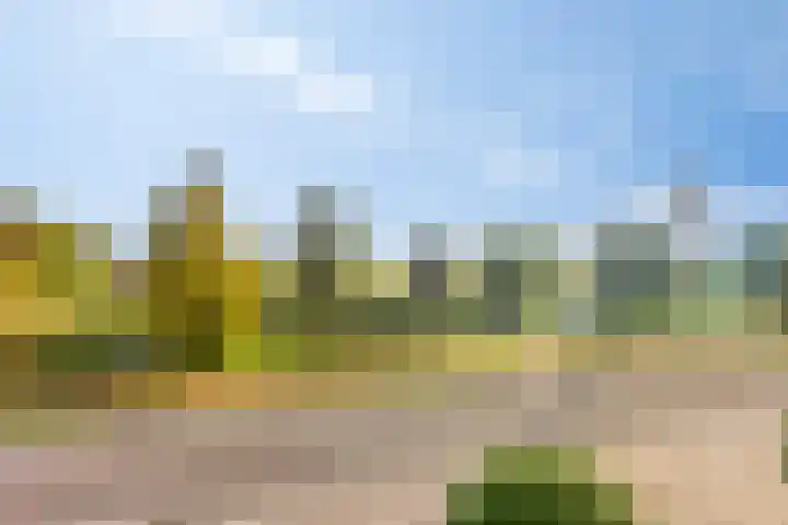 Het Buske 71 Lent thumbnail 21