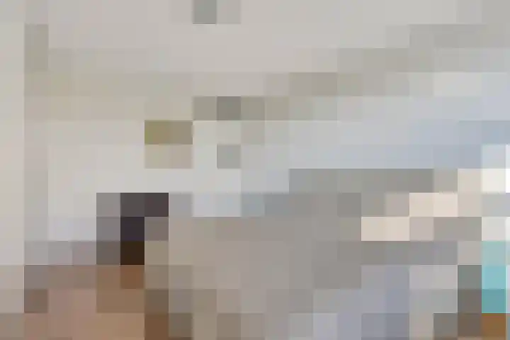 Het Buske 71 Lent thumbnail 29