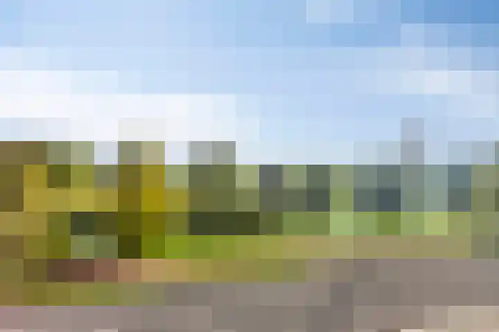 Het Buske 71 Lent thumbnail 30