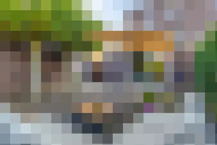 Het Buske 71 Lent thumbnail 34