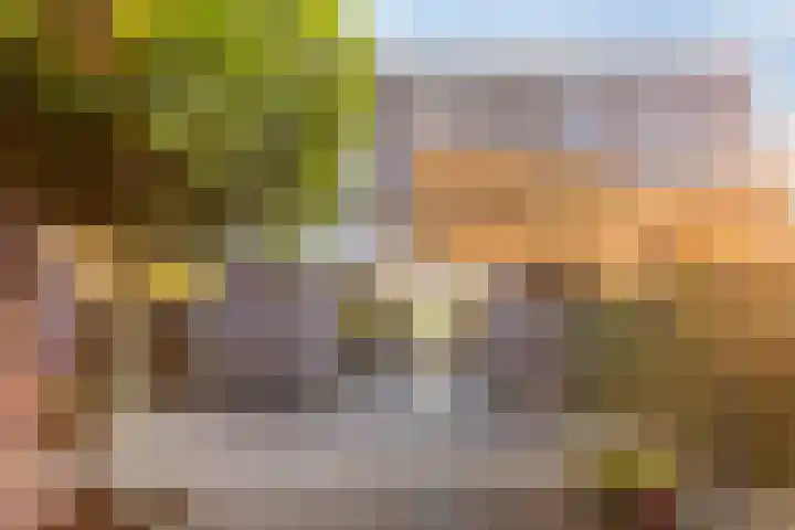 Het Buske 71 Lent thumbnail 36