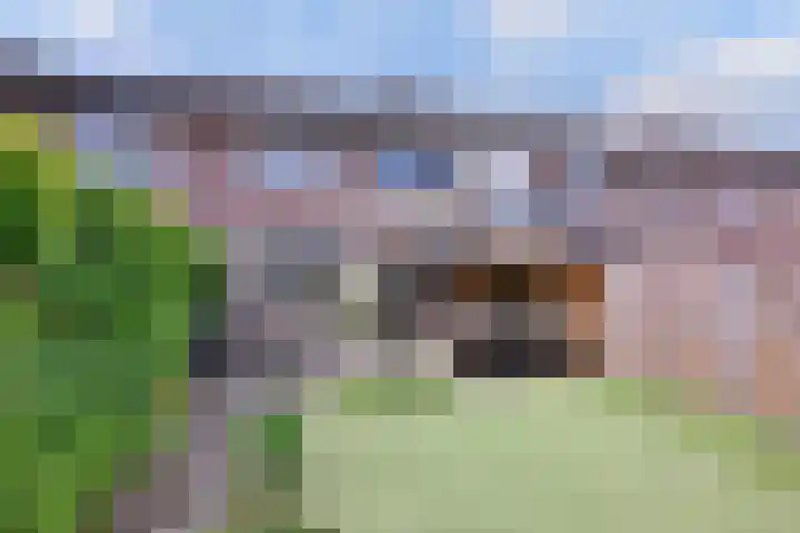 Het Bussink 11 Epse thumbnail 28