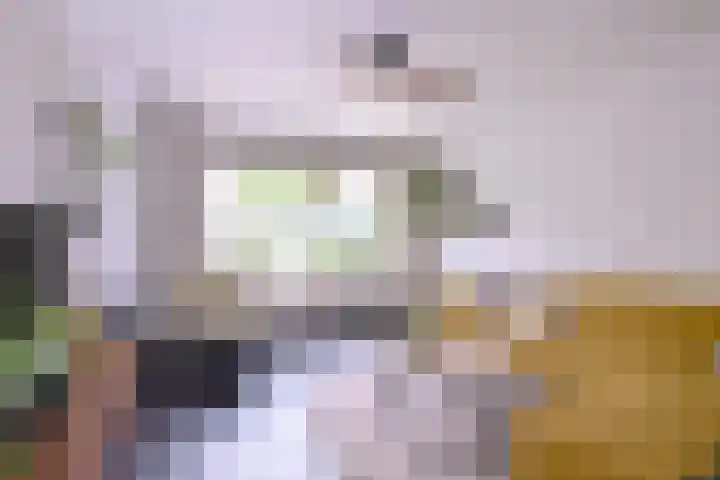 Het Bussink 11 Epse foto 3