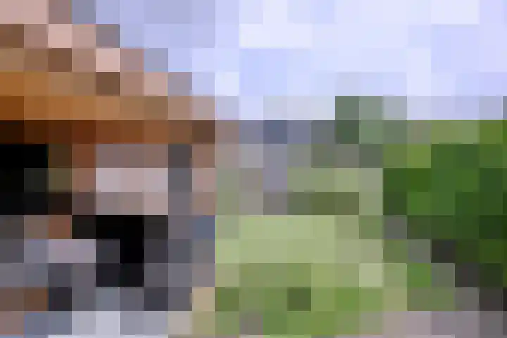Het Bussink 11 Epse thumbnail 30